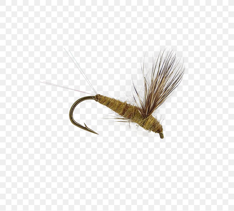 Artificial Fly Fly Fishing Insect Crane Fly, PNG, 555x741px, Fly, Artificial Fly, Crane Fly, Feather, Fishing Download Free