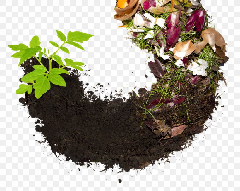 Compost Biodegradable Waste Food Waste Recycling, PNG, 1024x819px, Compost, Biodegradable Waste, Fertilisers, Flowerpot, Food Download Free