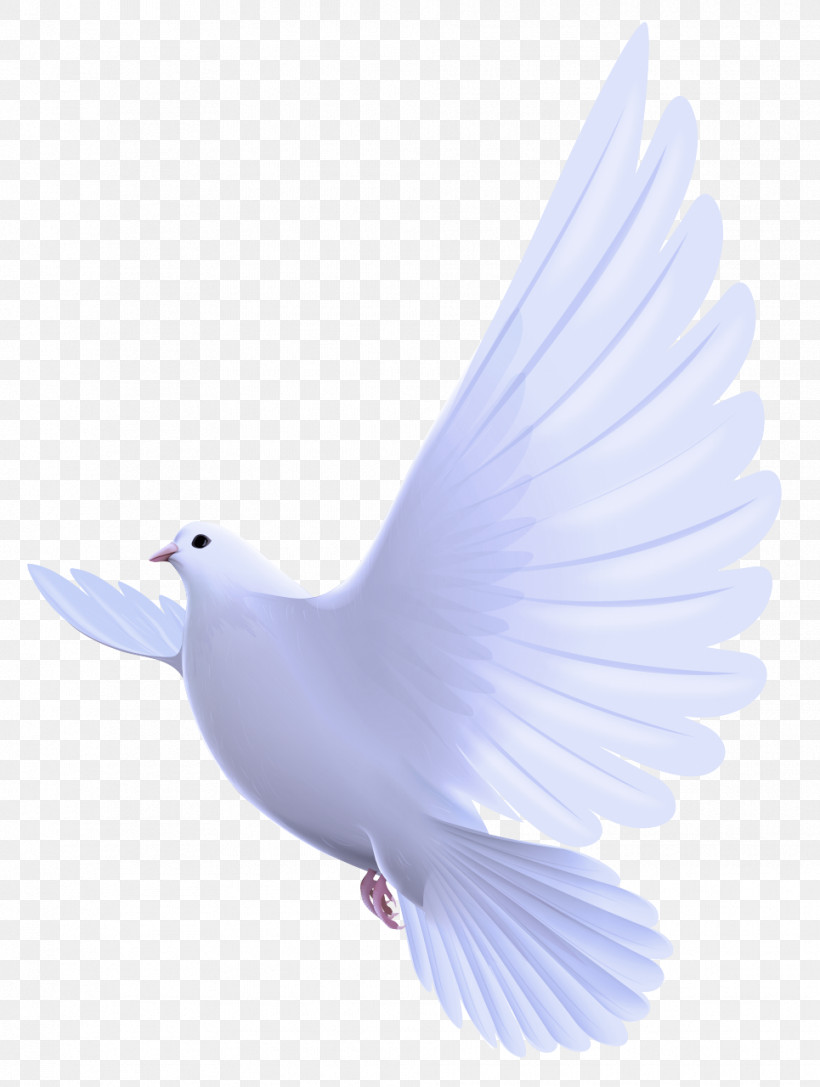 Feather, PNG, 965x1280px, Bird, Beak, Feather, Peace, Pigeons And Doves Download Free