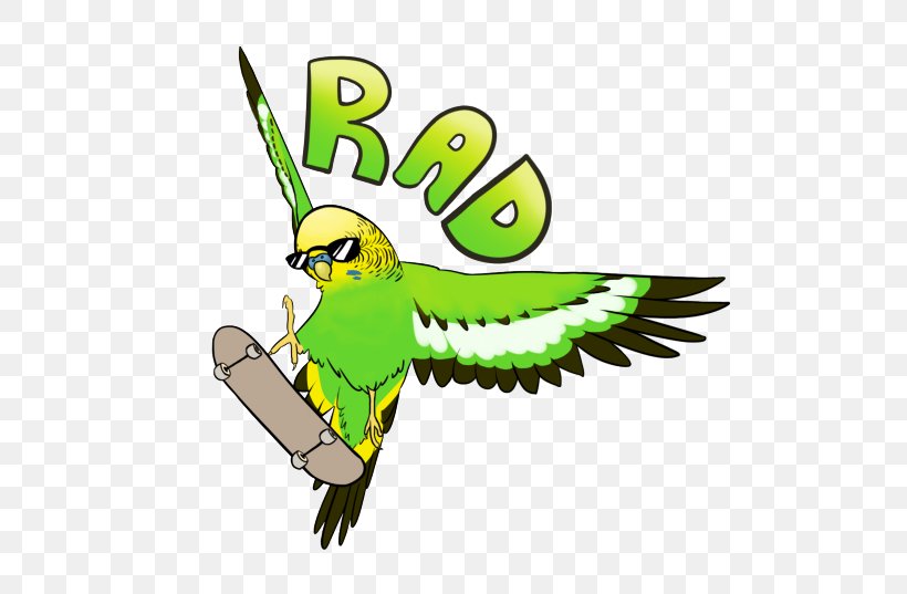 Budgerigar Parrot Bird Parakeet Clip Art, PNG, 500x537px, Budgerigar, Artwork, Beak, Bird, Common Pet Parakeet Download Free