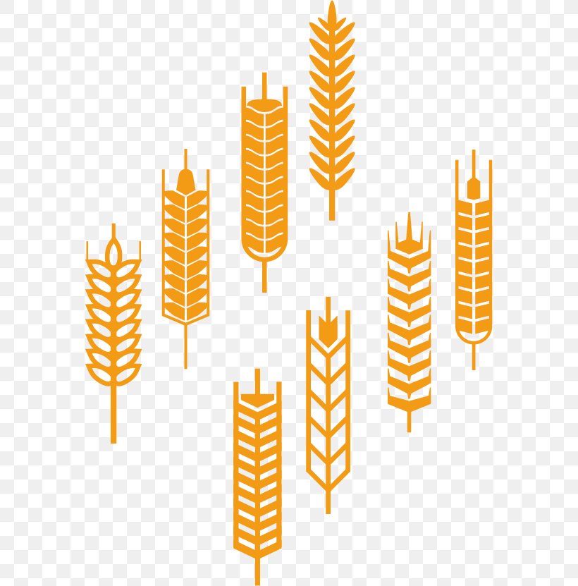 Wheat Illustration, PNG, 578x831px, Wheat, Agriculture, Concept, Depositphotos, Ear Download Free
