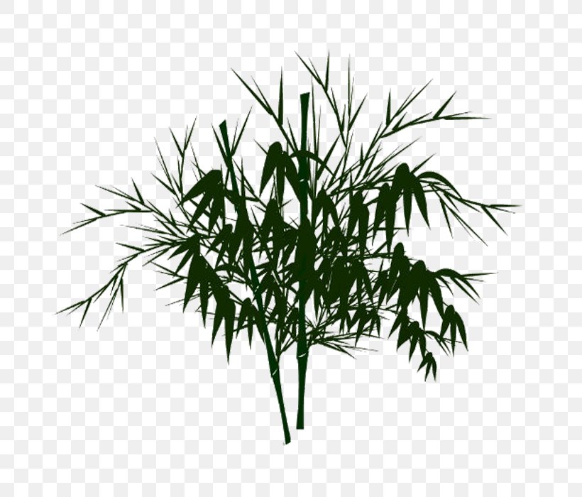 Bamboo Watercolor Painting, PNG, 700x700px, Bamboo, Adobe Flash Player, Animation, Black And White, Branch Download Free