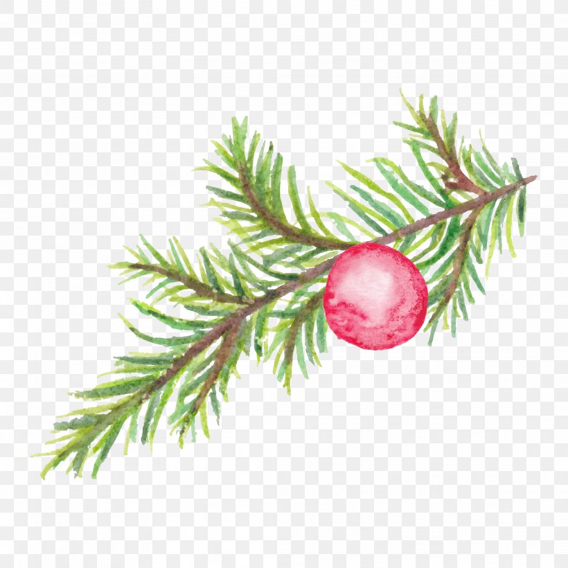 Flower Designer, PNG, 4167x4167px, Flower, Berry, Branch, Christmas Decoration, Christmas Ornament Download Free
