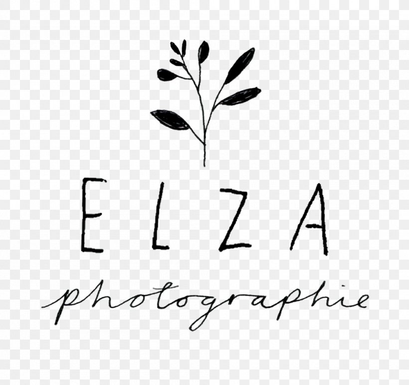 High Park Lifestyle Photography Photographer Elza Photographie, PNG, 1000x941px, High Park, Area, Black, Black And White, Branch Download Free