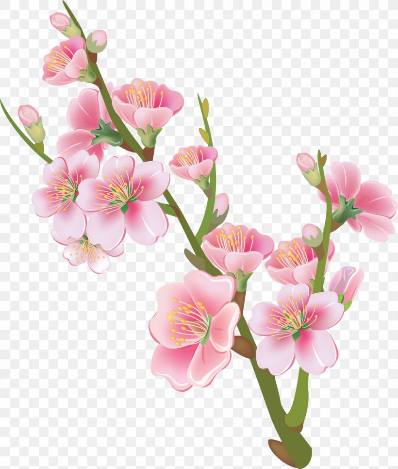 National Cherry Blossom Festival Flower Drawing, PNG, 1240x1461px, Cherry Blossom, Artificial Flower, Blossom, Branch, Cherry Download Free