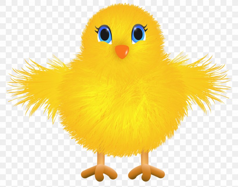 Yellow-hair Chicken Clip Art, PNG, 6225x4895px, Chicken, Beak, Bird, Ducks Geese And Swans, Easter Download Free