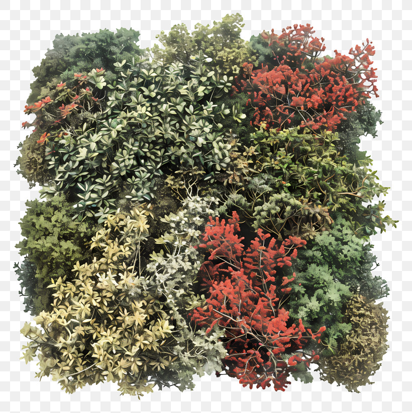 Bushes - Colorful Bushes PNG