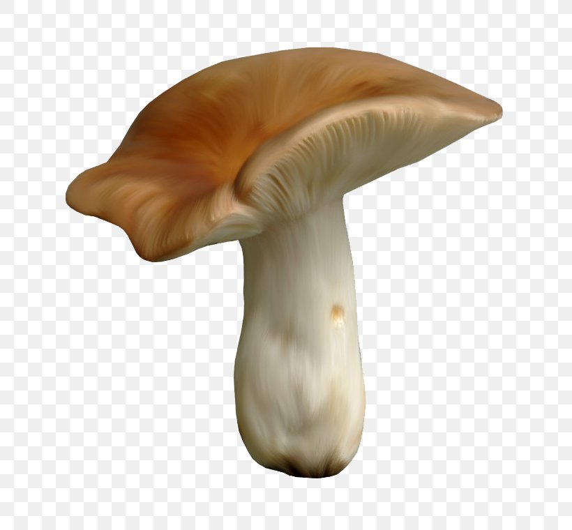 Edible Mushroom Clip Art, PNG, 760x760px, Mushroom, Common Mushroom, Edible Mushroom, Fungus, Ingredient Download Free