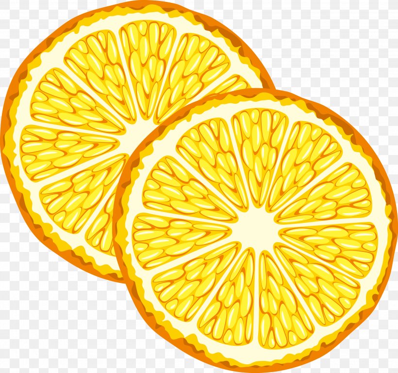 Orange Juice Fruit, PNG, 2722x2559px, Orange Juice, Bitter Orange, Citreae, Citric Acid, Citron Download Free