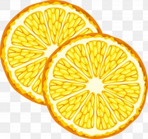 Lemon Vector Decoration - Orange Juice Fruit PNG