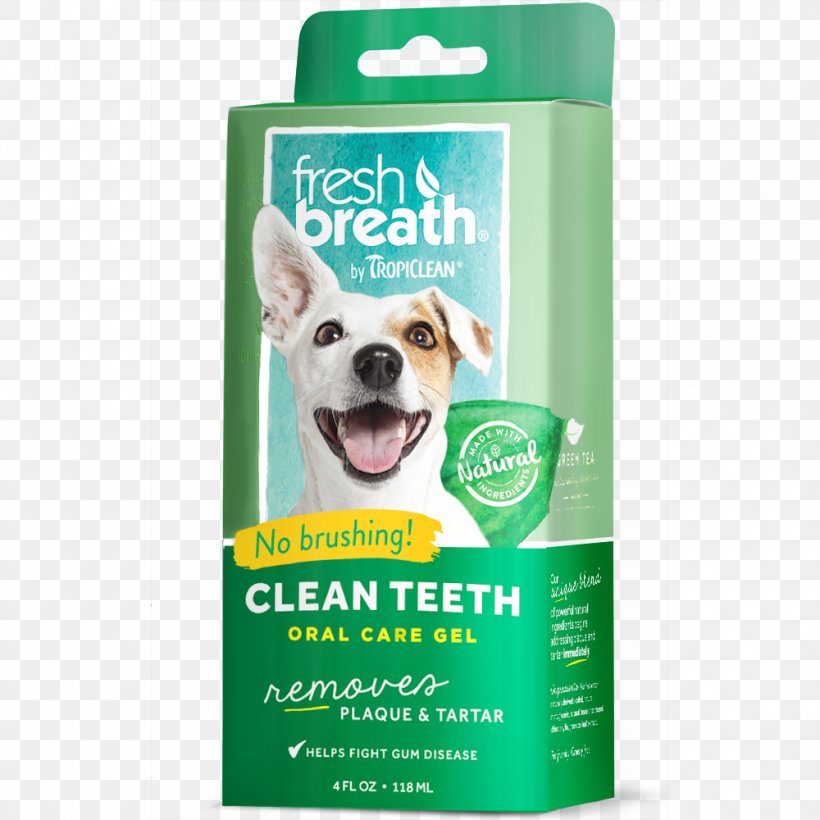 Teeth Cleaning Dental Calculus Tooth Brushing Mouthwash Gel, PNG, 1000x1000px, Teeth Cleaning, Canine Tooth, Dental Calculus, Dental Plaque, Dentistry Download Free