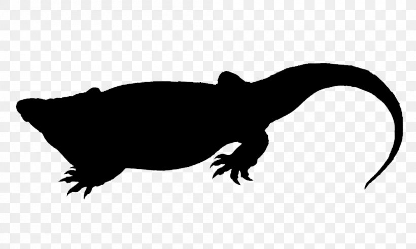 Terrestrial Animal Amphibian Reptile Silhouette Clip Art, PNG, 1000x600px, Terrestrial Animal, Amphibian, Animal, Beak, Black And White Download Free