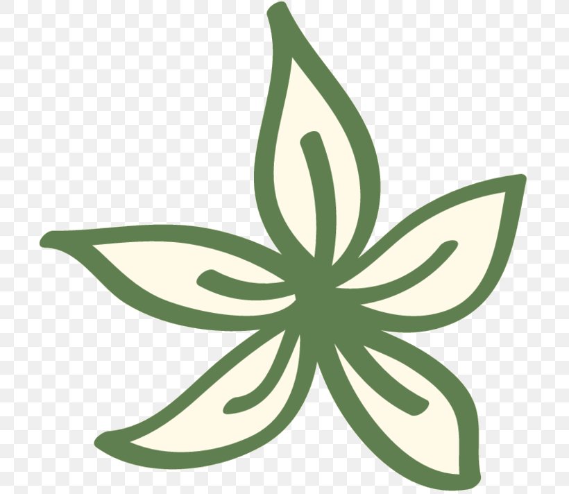 Clip Art Leaf Plant Stem Flowering Plant, PNG, 718x712px, Leaf, Flower, Flowering Plant, Green, Hemp Family Download Free
