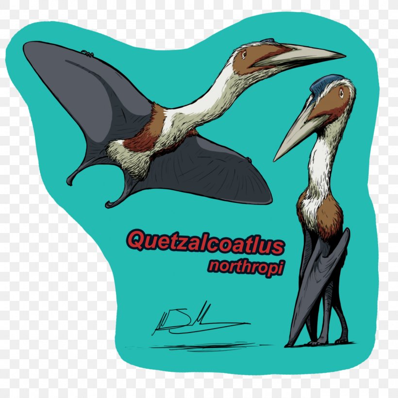 Dinosaur Cartoon, PNG, 1280x1280px, Quetzalcoatlus, Beak, Bird, Dinosaur, Drawing Download Free