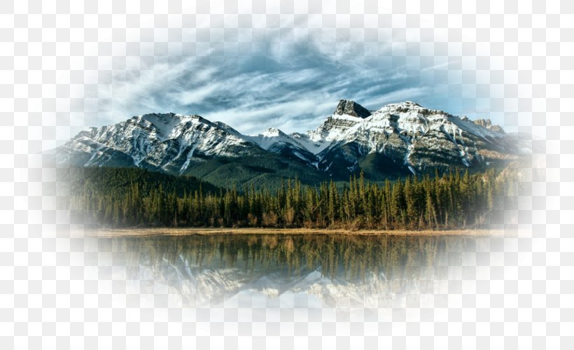 Family Tree Background, PNG, 800x500px, Mountain, Alps, Apple Ipad Family, Atmospheric Phenomenon, Bank Download Free