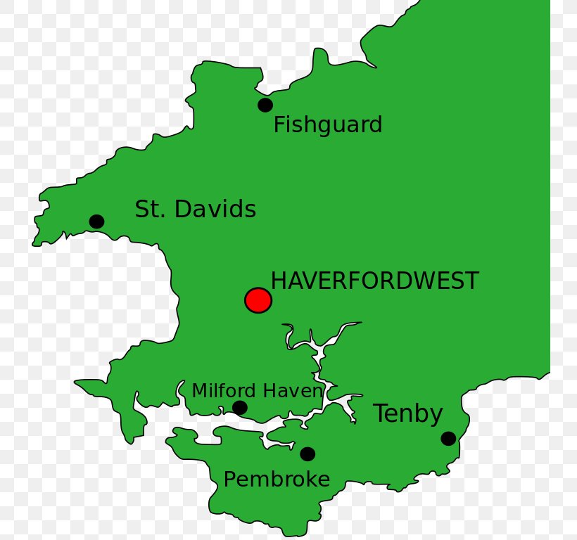 St Davids Haverfordwest Fishguard Narberth Tenby, PNG, 745x768px, St Davids, Area, Fishguard, Flag Of Saint David, Flag Of Wales Download Free