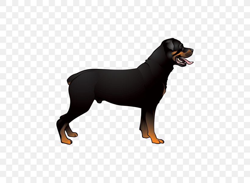 Dobermann Rottweiler Labrador Retriever Miniature Pinscher Golden Retriever, PNG, 600x600px, Dobermann, Austrian Black And Tan Hound, Breed, Canidae, Carnivore Download Free