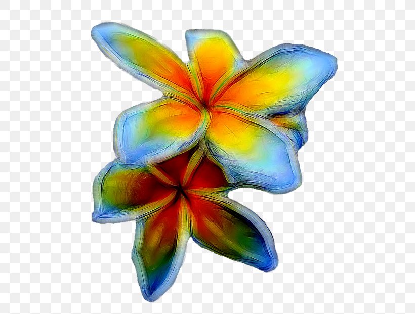 Flowering Plant Petal Symmetry, PNG, 600x621px, Flower, Flowering Plant, Petal, Plant, Symmetry Download Free