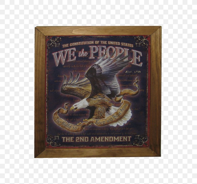 Second Amendment To The United States Constitution Preamble To The United States Constitution Constitutional Amendment, PNG, 733x764px, United States, Constitution, Constitutional Amendment, Eagle, Fauna Download Free