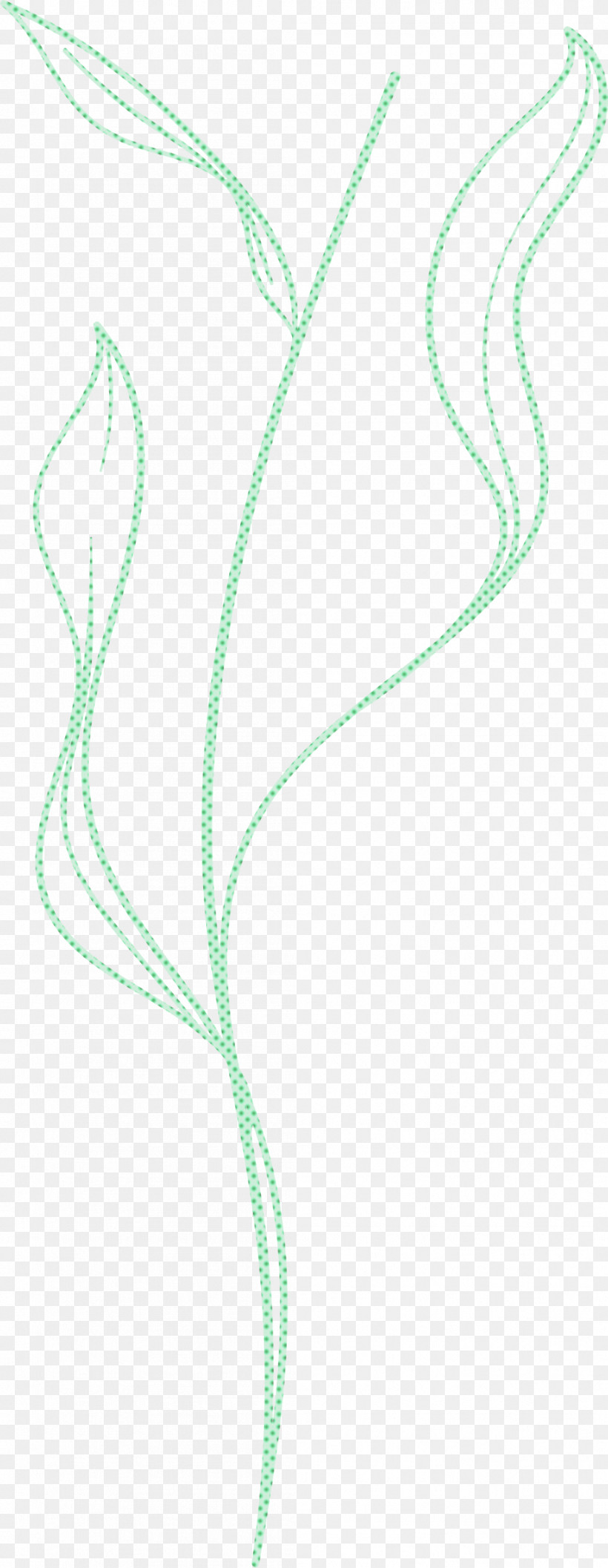 Simple Leaf Simple Leaf Drawing Simple Leaf Outline, PNG, 1053x2714px, Simple Leaf, Angle, Biology, Leaf, Line Download Free