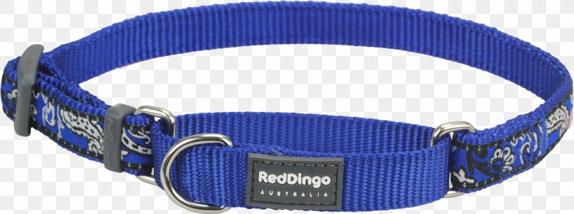 Dingo Fence Dog Collar Cat, PNG, 3000x1123px, Dingo, Blue, Brown, Cat, Cobalt Blue Download Free
