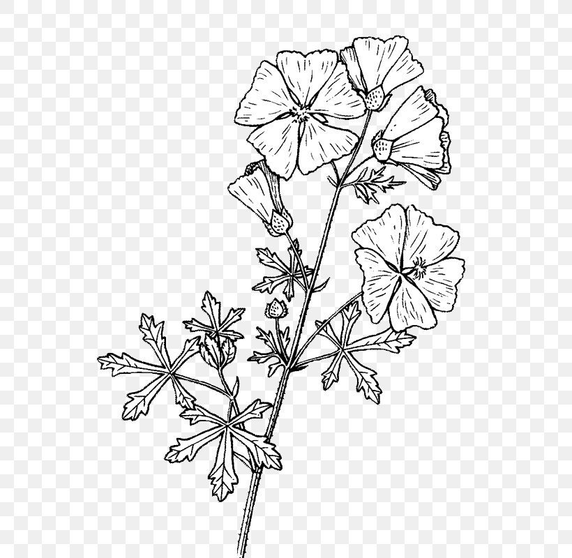 Twig Floral Design Cut Flowers Plant Stem, PNG, 800x800px, Twig, Area, Black And White, Branch, Cut Flowers Download Free