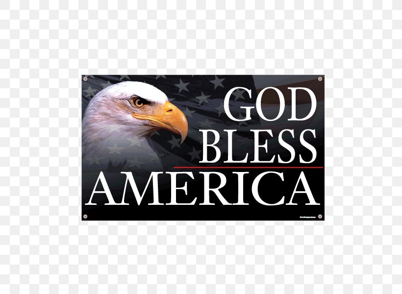 United States New American Bible Old Testament Numbers: An Exegetical And Theological Exposition Of Holy Scripture, PNG, 600x600px, United States, Advertising, Beak, Bible, Bird Of Prey Download Free