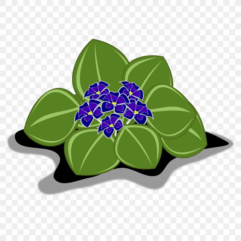 African Violets Clip Art, PNG, 2400x2400px, African Violets, Flora, Flower, Flowerpot, Leaf Download Free