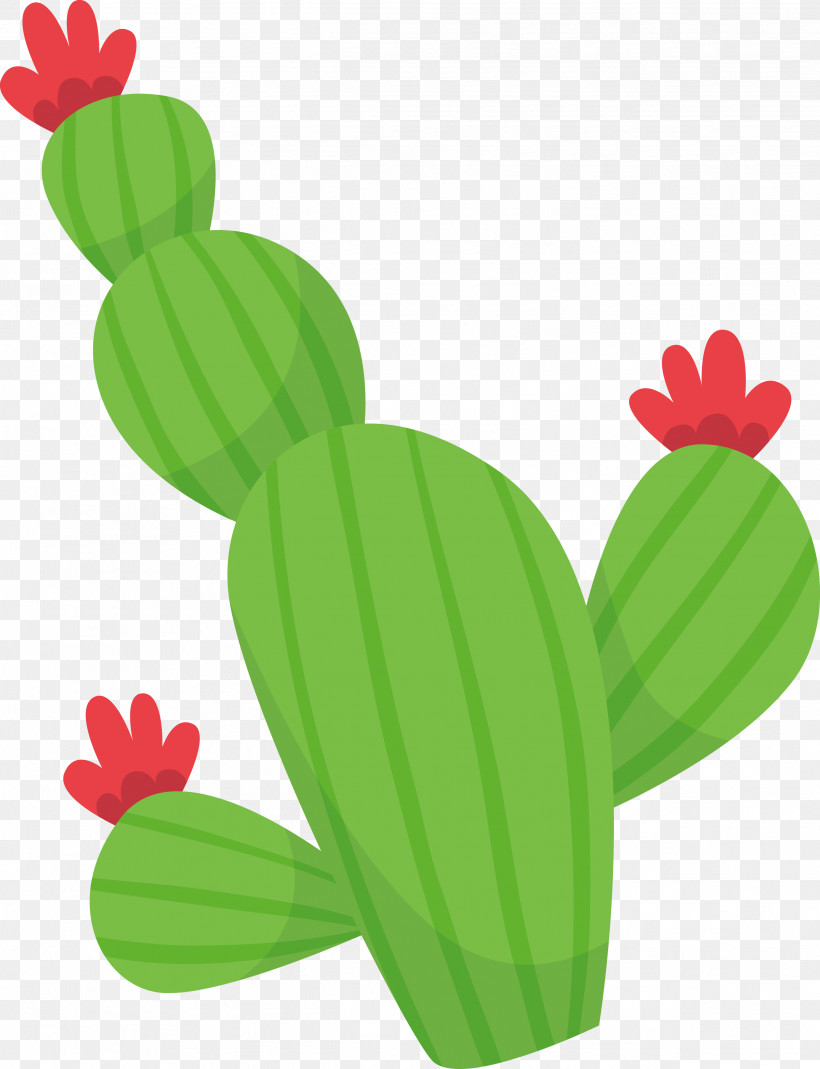 Cactus, PNG, 2488x3245px, Frogs, Biology, Cactus, Fruit, Leaf Download Free