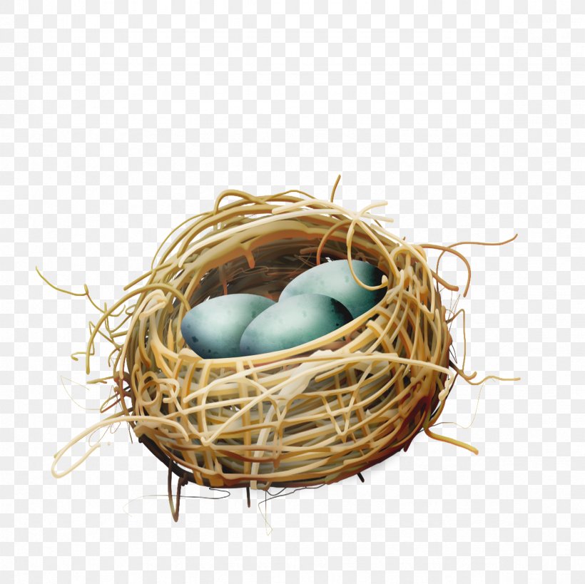 Bird Nest Egg, PNG, 2362x2362px, Bird, Basket, Bird Nest, Cartoon, Egg  Download Free