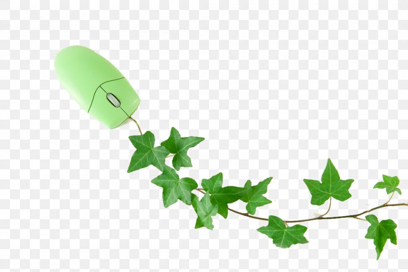 Computer Mouse, PNG, 1000x667px, Computer Mouse, Branch, Computer, Creativity, Flora Download Free