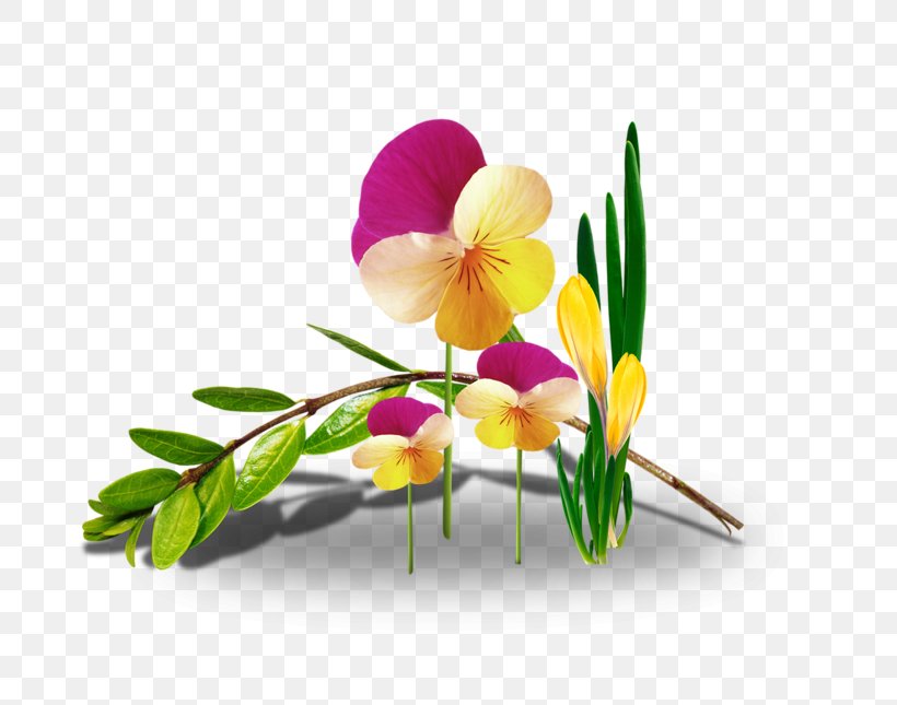 Flower Floral Design Desktop Wallpaper Blog Clip Art, PNG, 800x645px, Flower, Blog, Branch, Computer, Cut Flowers Download Free