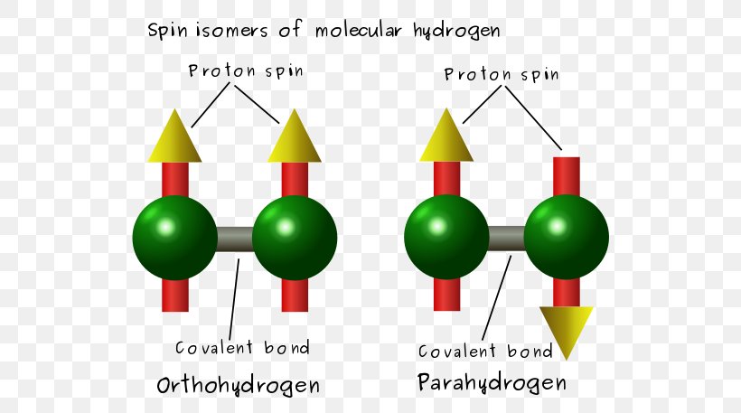 Spin Isomers Of Hydrogen Dihydrogen, PNG, 562x457px, Spin Isomers Of Hydrogen, Area, Arene Substitution Pattern, Atomic Nucleus, Cone Download Free