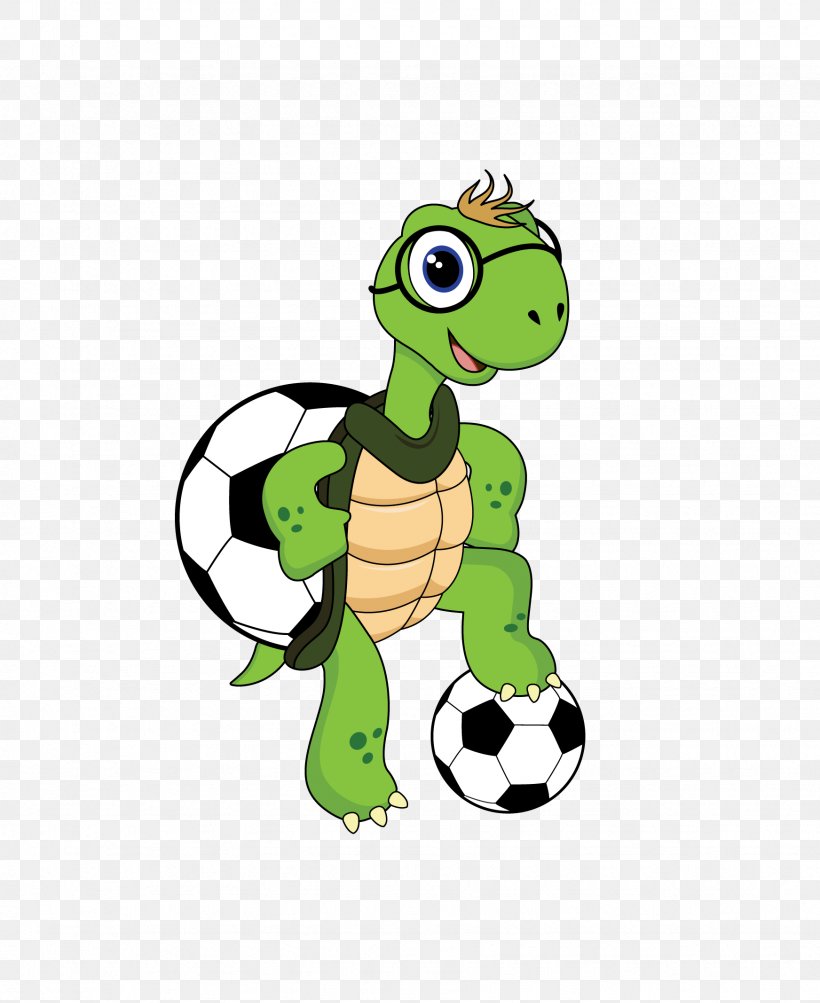 Turtle Cartoon, PNG, 1744x2134px, Sports, Animation, Ball, Basketball, Cartoon Download Free