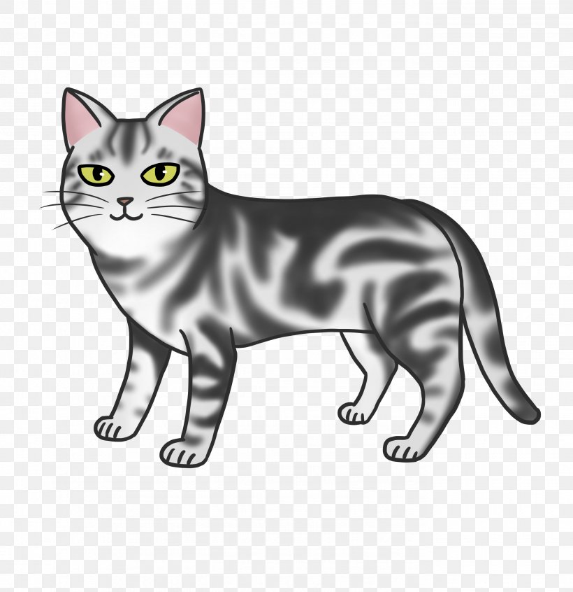American Shorthair Manx Cat American Wirehair Korat Whiskers, PNG, 2756x2846px, American Shorthair, American Wirehair, Asian, Black And White, British Shorthair Download Free