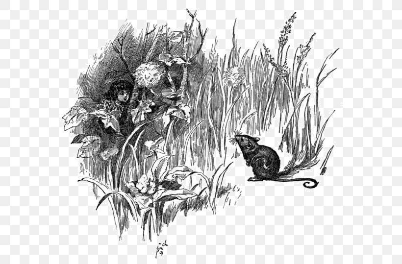 Drawing Eurasian Harvest Mouse Sketch, PNG, 600x539px, Drawing, Art, Artwork, Black And White, Cartoon Download Free