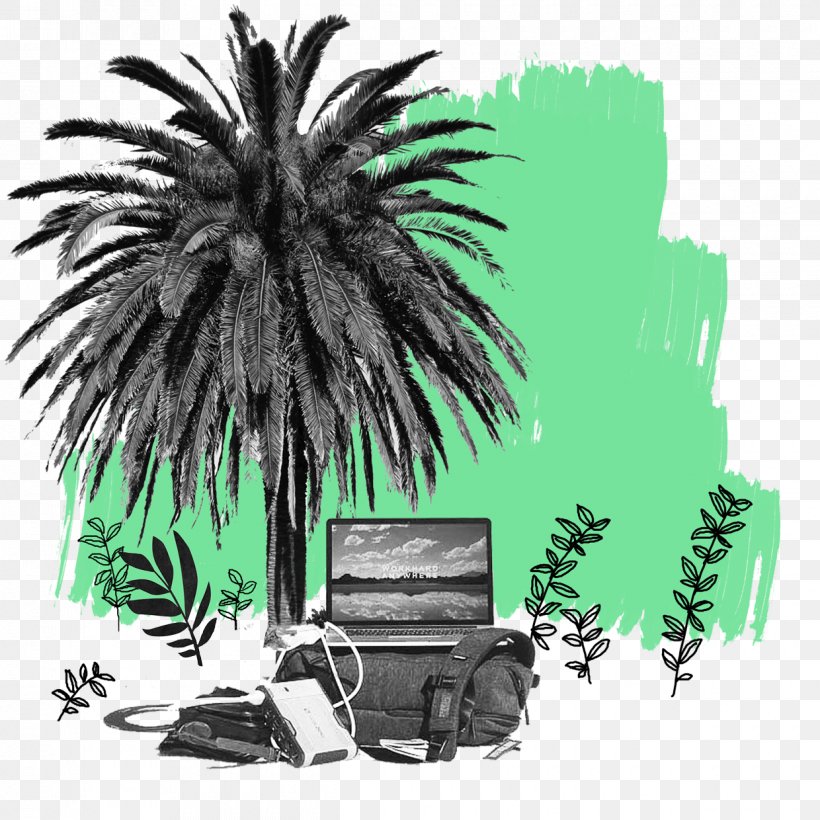 Palm Tree Drawing, PNG, 1240x1240px, Asian Palmyra Palm, Arecales, Attalea Speciosa, Borassus, Drawing Download Free