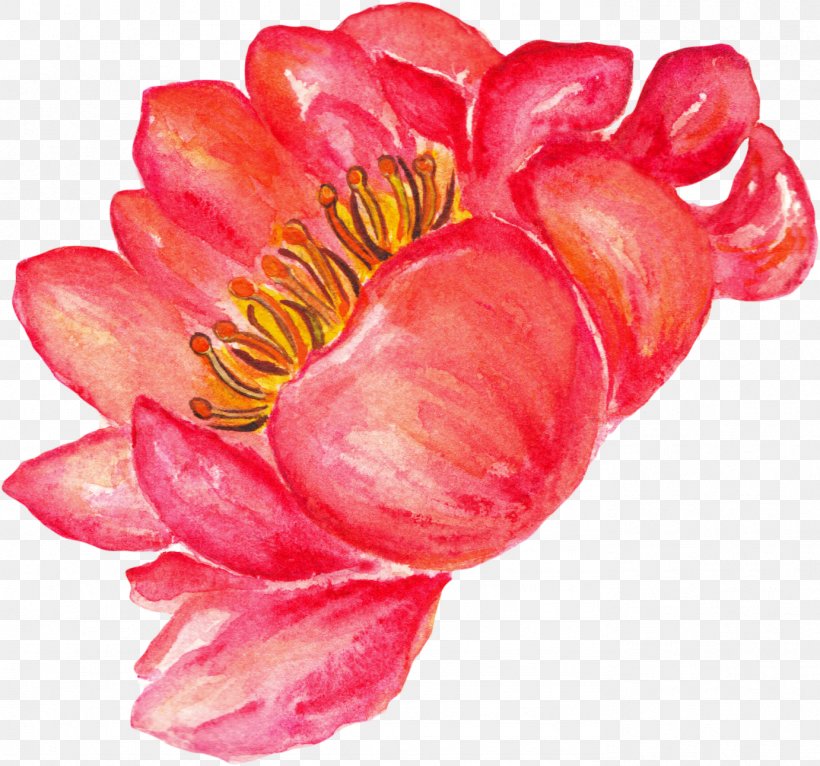 Watercolor Painting Flower, PNG, 1382x1292px, Watercolor Painting, Color, Floral Design, Flower, Flowering Plant Download Free