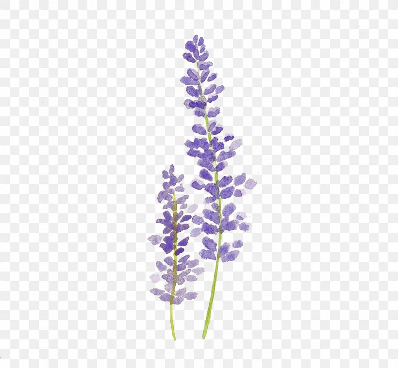 Watercolor Painting Lavender Drawing Watercolour Flowers, PNG, 1477x1368px, Watercolor Painting, Art, Botanical Illustration, Color, Drawing Download Free