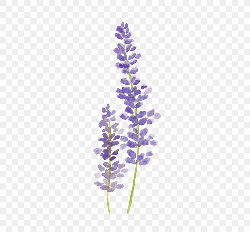 Lavender Bush Drawing - e-nutrir