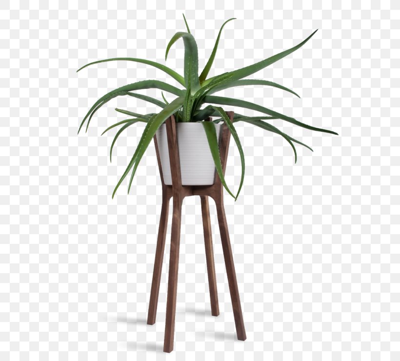 Woody Plant Flowerpot Table Houseplant, PNG, 592x740px, Plant, Arecales, Com, Container, Flowerpot Download Free