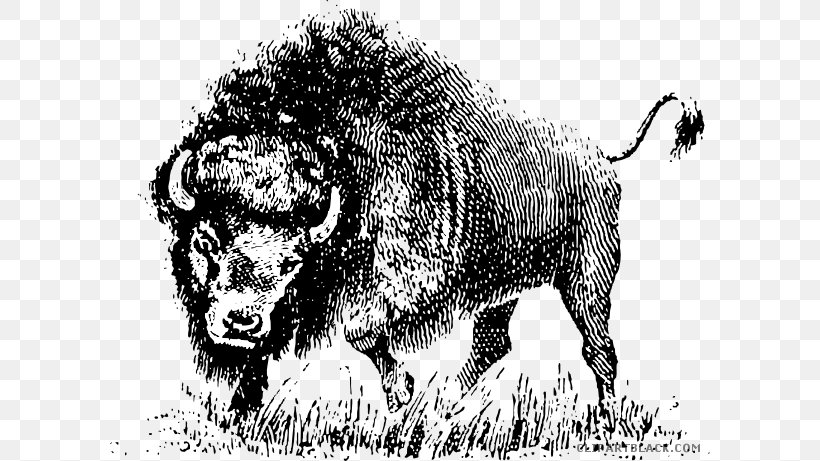 American Bison Clip Art Vector Graphics Openclipart Image, PNG, 600x461px, American Bison, Art, Big Cats, Bison, Black And White Download Free