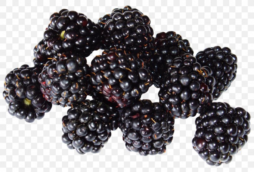 Blackberry Fruit Black Raspberry Smoothie, PNG, 1024x693px, Blackberry, Berry, Black Raspberry, Blackberry Pie, Boysenberry Download Free
