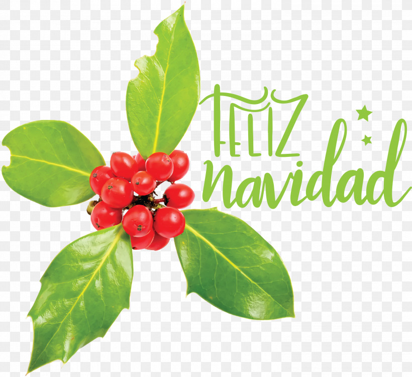 Feliz Navidad Merry Christmas, PNG, 3000x2747px, Feliz Navidad, Berry, Blueberry, Common Holly, Cranberry Download Free