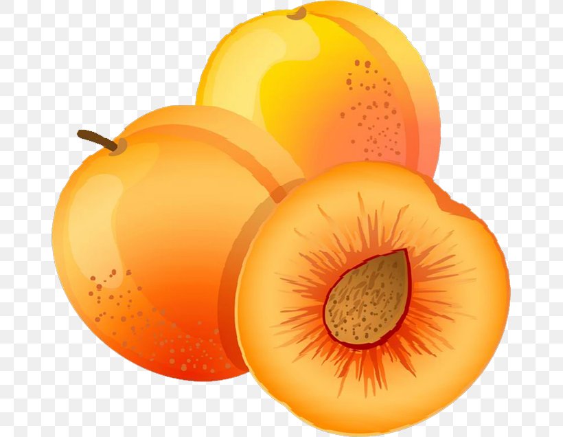 Apricot Fruit Peach Clip Art, PNG, 669x636px, Apricot, Cherry, Diet Food, Flower, Food Download Free