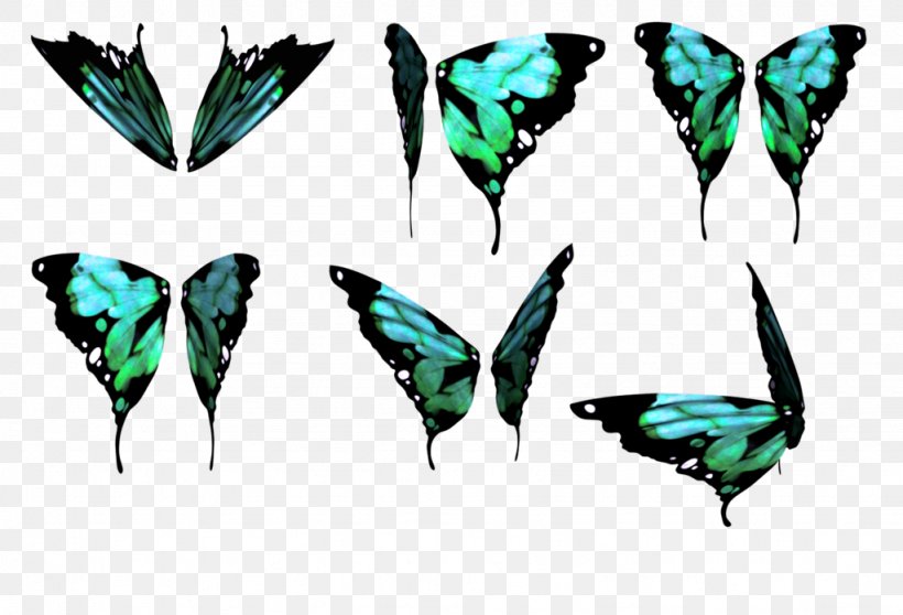 Butterfly Wing DeviantArt Color, PNG, 1024x698px, Butterfly, Arthropod, Color, Deviantart, Drawing Download Free