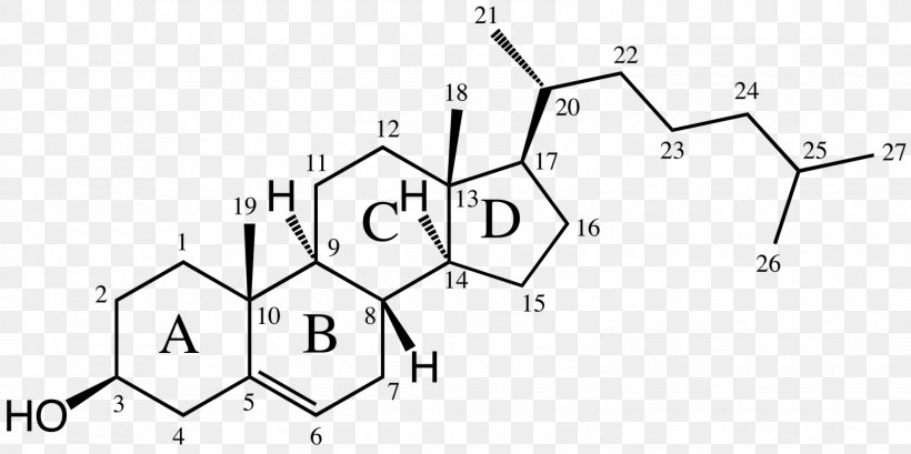 Cholesterol Alkene Dimethylallyl Pyrophosphate Dehydroepiandrosterone, PNG, 1600x800px, Sterol, Acid, Alkene, Area, Black And White Download Free