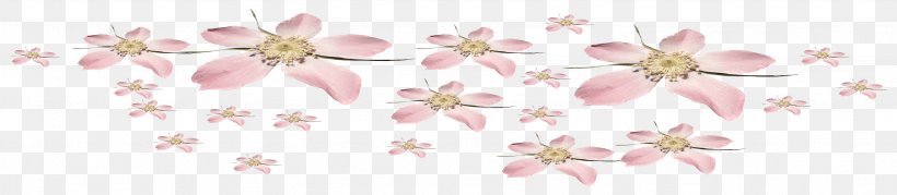 Flower Floral Design Floristry Art Ornament, PNG, 3057x669px, Flower, Art, Blossom, Body Jewelry, Branch Download Free