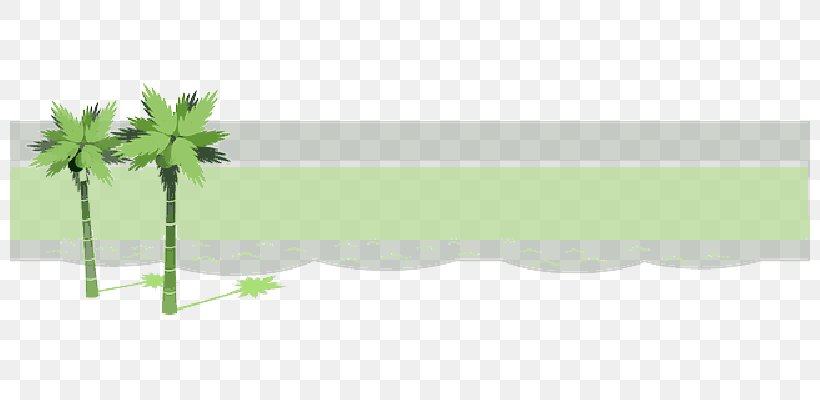 Leaf Product Design Plant Stem Line, PNG, 800x400px, Leaf, Green, Plant, Plant Stem, Plants Download Free