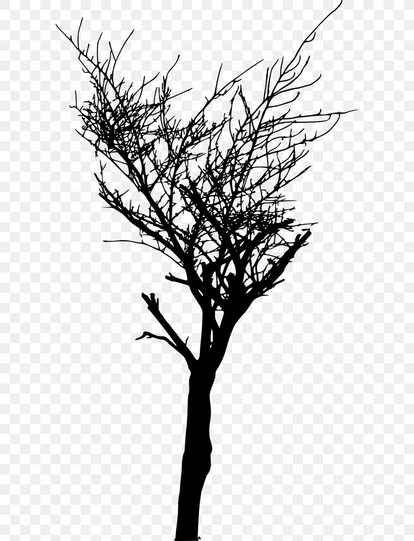 Tree Branch Silhouette, PNG, 600x1072px, Tree, Blackandwhite, Branch, Flower, Leaf Download Free